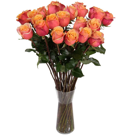 Roses orange du fleuriste